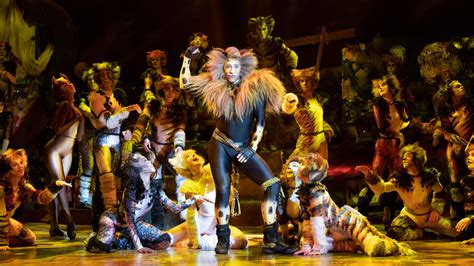 'Cats' Has Added a Melbourne Season to Its 2025 Australian Tour That's ...