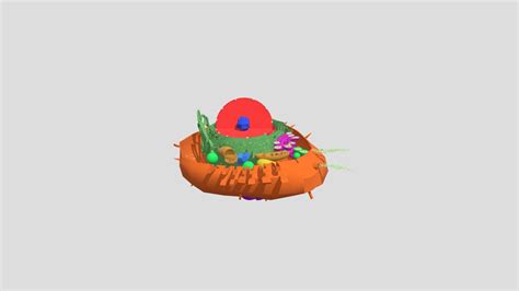 Animal cell structure anatomy - 3D model by paihub [7ed8cf8] - Sketchfab