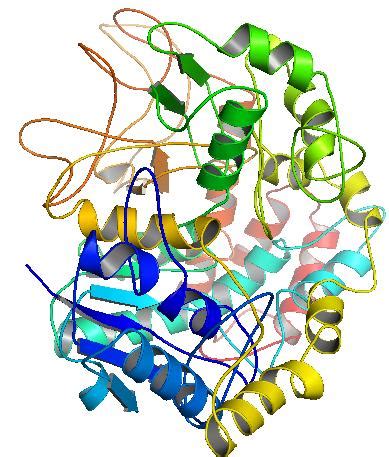 G2H: Chikungunya Database