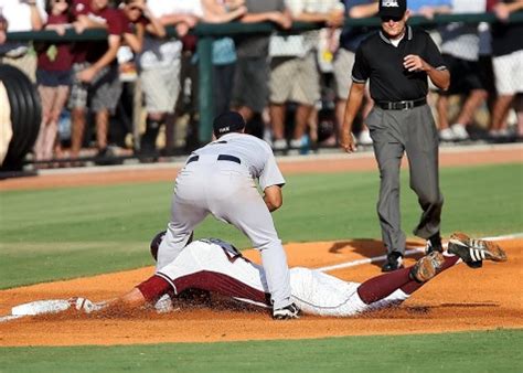 Baseball Netting 的图像结果