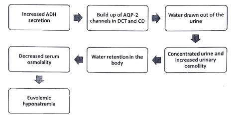 Posterior pituitary gland - Medical Science Optional Notes for UPSC PDF