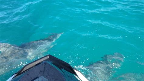 PUERTO RICO ADVENTURE WATER SPORTS (2025) All You Need to Know BEFORE ...