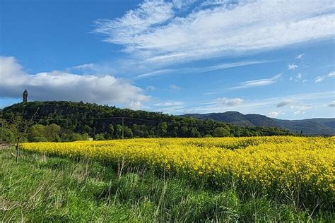 2024 (Stirling) Stirling Run Tour provided by Stirling Run Tour