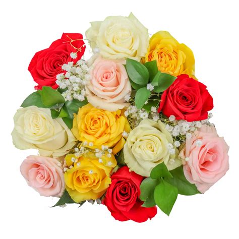 BLOOMS by H-E-B Designer Dozen Rainbow Roses Flower Bouquet - Shop ...