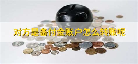 利用备付金账户，支付宝推出“银行卡转钱”_中国电子银行网