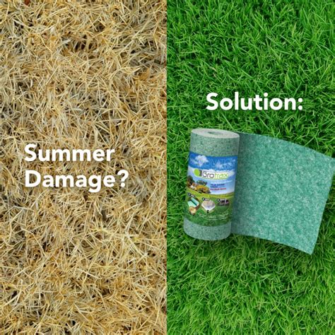 Grotrax Biodegradable Grass Seed Mat - 55 SQFT Year Round - Grass Seed ...