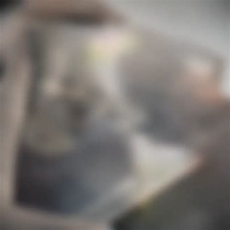 Image result for PCR Primer Design Software