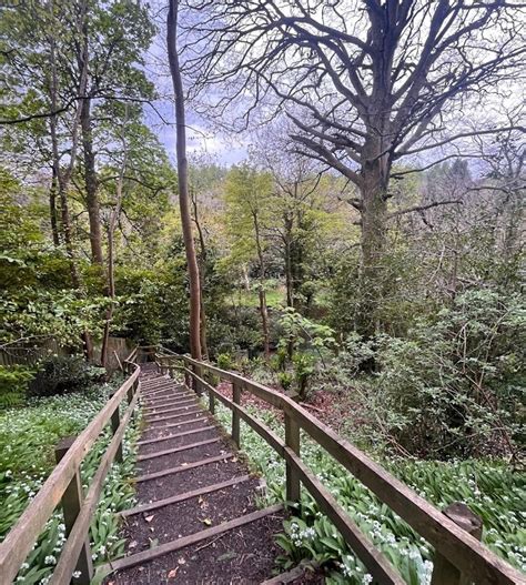 CAMBUSDOON ESTATE (2026) All You Need to Know BEFORE You Go (with ...