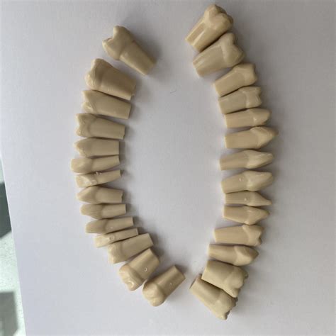 Conduction Anesthesia 的图像结果