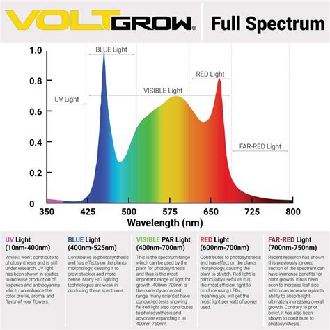 Image result for Daylight LED Spectrum