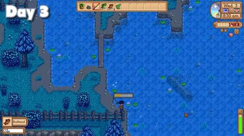 How To Get The Pearl In Stardew Valley