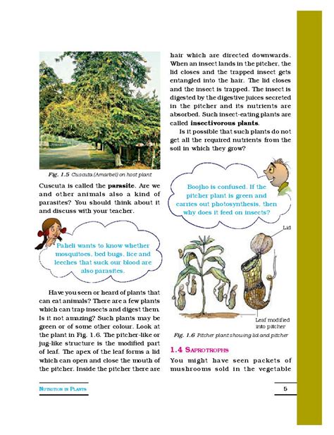 Image result for Class 7 Science Chapter 1 Notes