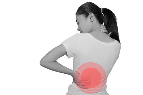 Lower Back Alignment 的图像结果