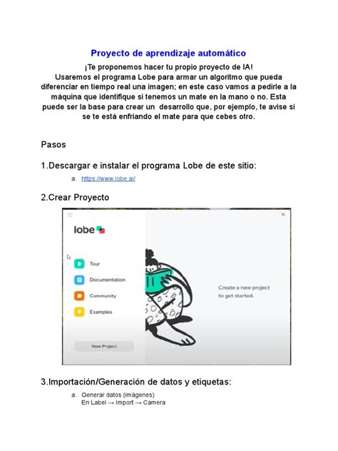Tutorial Lobe 的图像结果