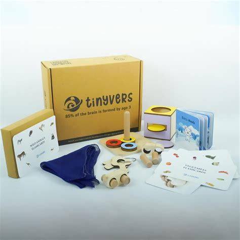 Buy Tinyvers Wooden STEAM Learning Activity kit 5 Box Different from ...