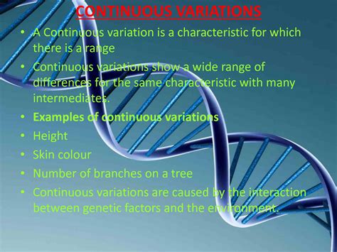 Variation Definition 的图像结果