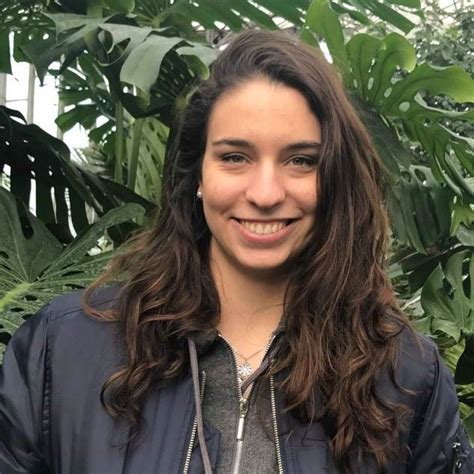 Image result for BBA Classes