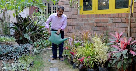 Rooftop gardening is catching on in India because of the space crunch ...