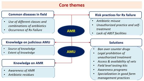Amoxicillin And Dairy