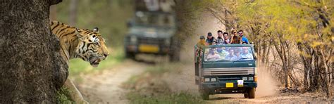 Ranthambore Tour, Ranthambore Tours & Holiday Packages
