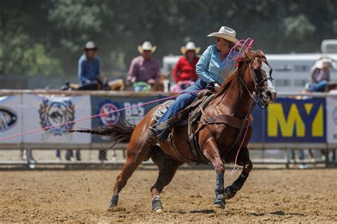 Image result for Girls Team Roping