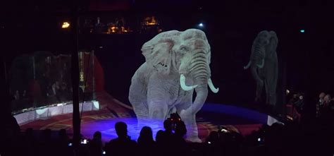 A Circus Used Holograms Instead Of Real Animals To Avoid Animal Abuse ...
