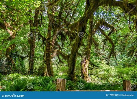 Image result for Working with JSON in JavaScript