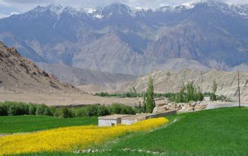 Family Getaway Ladakh Tour Package for 10 Days 9 Nights from Leh ...