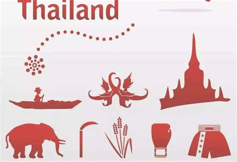 泰国留学资讯|2021出入境事项，护照、签证、航班了解清楚了吗？_泰国留学网
