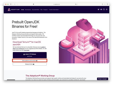 Image result for Installer Minecraft Java Sur Mac