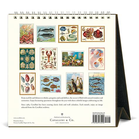 Cavallini & Co - 2026 Desk Calendar - Sea Life - Buchan's Kerrisdale ...