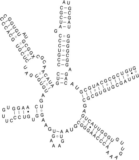 Labels KeyShot 的图像结果