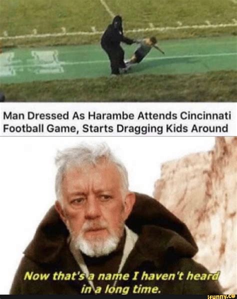 Man Dressed As Harambe Attends Cincinnati Football Game, Starts ...