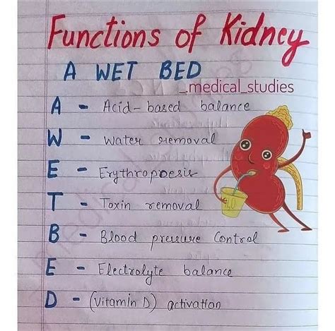 Kidney Function 的图像结果