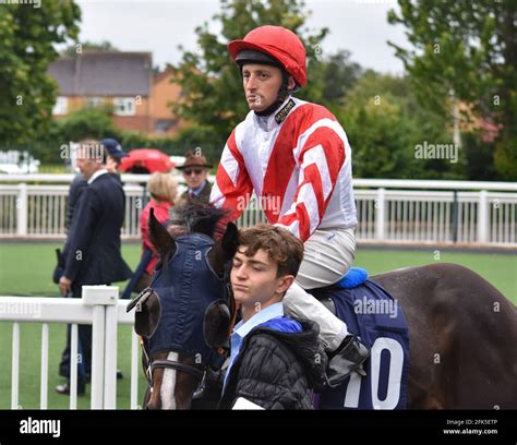 Wolverhampton Wolves Races 的图像结果