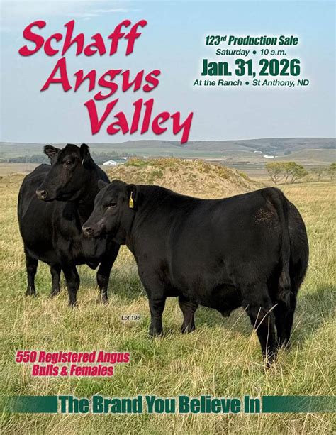 Schaff Angus Valley 123rd Production Sale 2026 by Bohrson Marketing ...