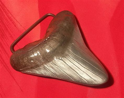 Buy DeepSeaFossils Meg Bling - 3" Prehistoric Monster Megalodon Shark ...