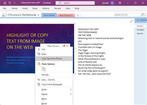 Image result for How to Extract Text in OneNote