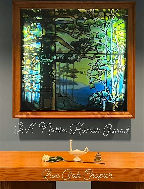 GA Nurse Honor Guard Recommitment Ceremony & CSRA Nurse Welcome, Christ ...