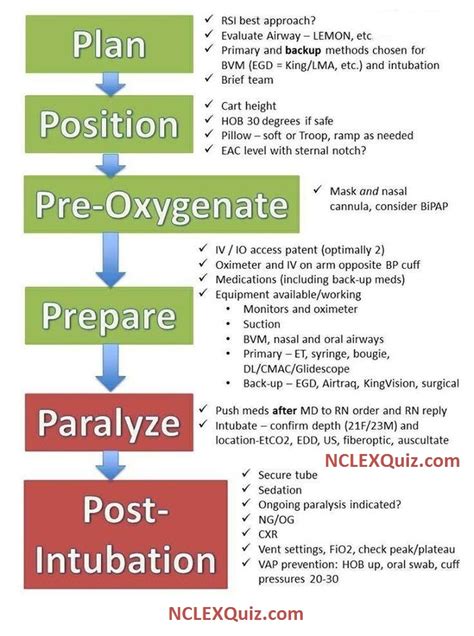 Image result for Rapid Sequence Intubation Algorithm