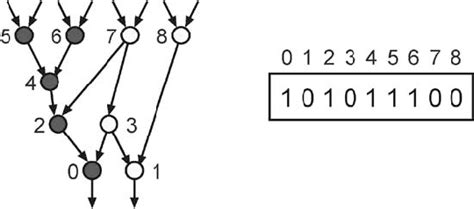 Image result for Genetic Encoding