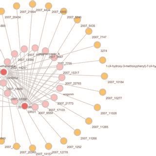 Image result for D/<Script