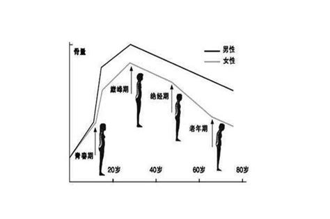 【骨粗鬆症】骨を強くするには何が大事？-骨粗鬆症の予防法を分かりやすく解説！- - おがちゃん先生 | Yahoo! JAPAN クリエイター ...