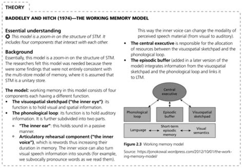 Image result for Working Memory Model