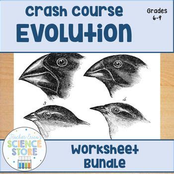Crash Course Evolution 的图像结果