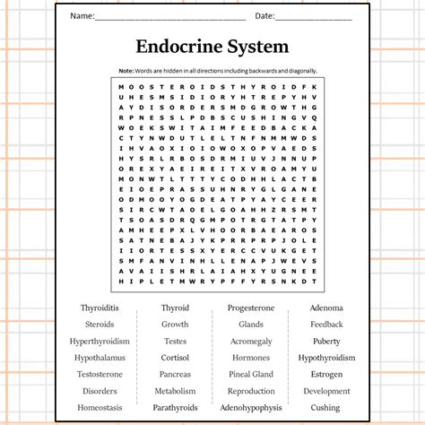 Image result for Endocrine System Worksheet Answers
