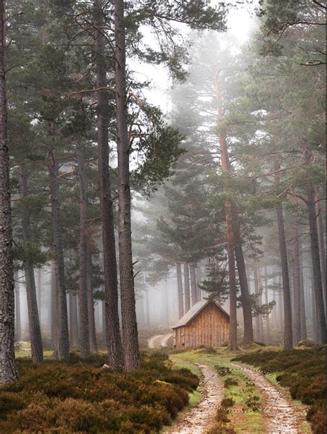 Image result for Using Ai in Photoshop Tutorial