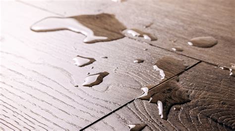 Waterproof Hardwood Flooring: The 5 Best Options in 2023