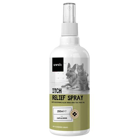 Can Dogs Lick Aloe Vera