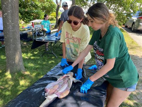 Best Marine Biology Camps For High School Students at Phyllis Lange blog